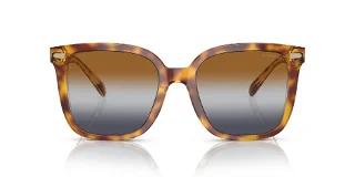 Coach Sunglasses HC8381U
