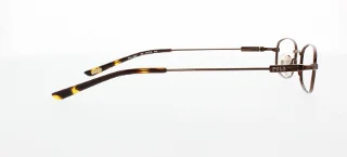 Polo Eyeglasses PP8021