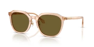 551883 Transparent Light Brown