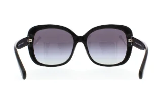 Coach Sunglasses HC8158 L139