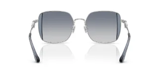 Coach Sunglasses HC7177B