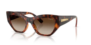 W65613 Dark Havana