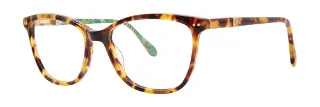 Tokyo Tortoise