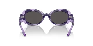 Dolce & Gabbana Sunglasses DX6005