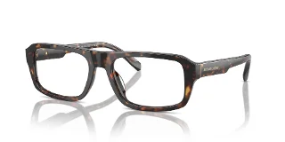 3006 Dark Tortoise