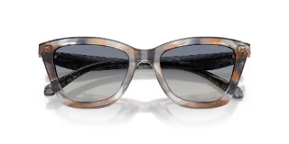 Coach Sunglasses HC8464U
