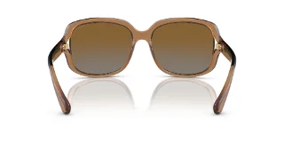Coach Sunglasses HC8169