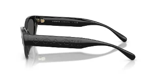 Coach Sunglasses HC8459U