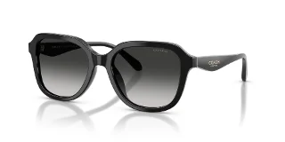 50023C Black
