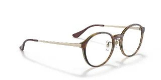 Ray Ban Eyeglasses RX7178D