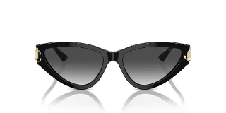 Jimmy Choo Sunglasses JC5019