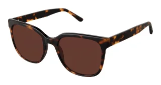S412-Sfs-2000 Tortoise