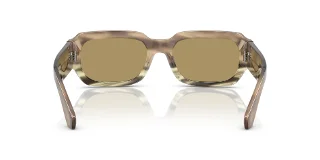 Dolce & Gabbana Sunglasses DG4485F