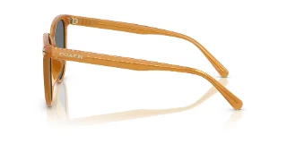 Coach Sunglasses HC8414BD
