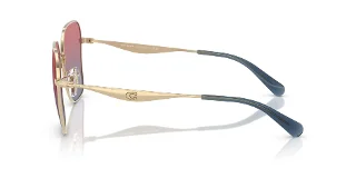 Coach Sunglasses HC7168