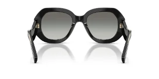 Giorgio Armani Sunglasses AR8248