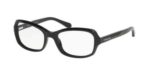 Coach Eyeglasses HC6097F