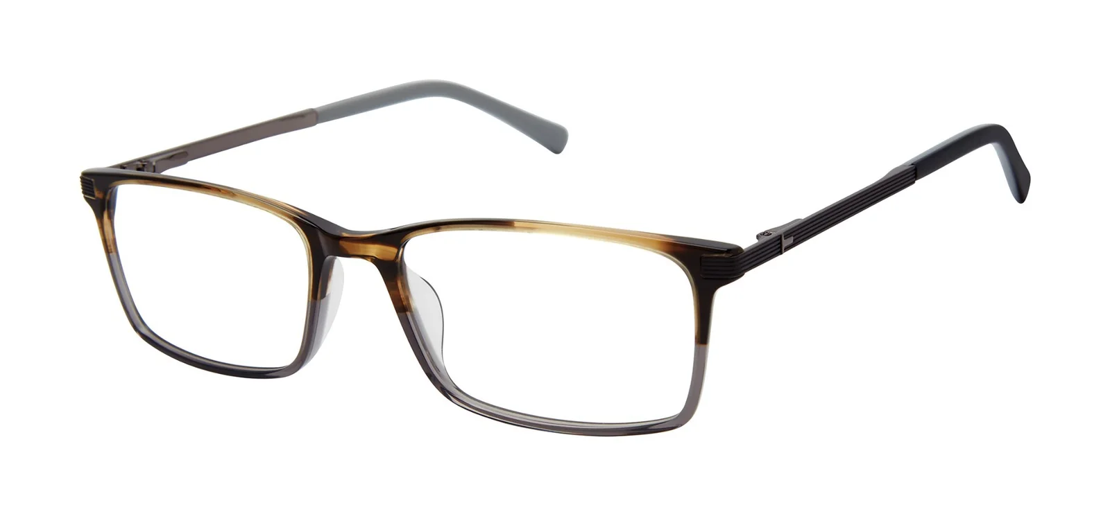 Ted Baker Eyeglasses TFM016