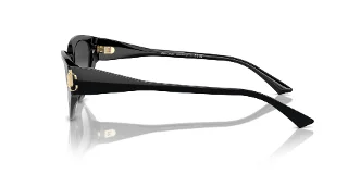 Jimmy Choo Sunglasses JC5019