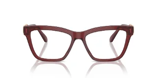 Swarovski Eyeglasses SK2021