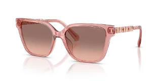 310113 Pink Transparent