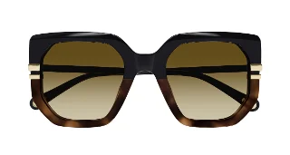 Chloe Sunglasses CH0240S