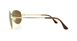 Kate Spade Sunglasses ALLY P/S