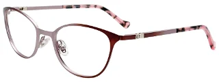 Easyclip Eyeglasses EC548