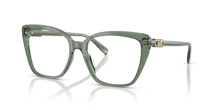 Michael Kors Eyeglasses MK4110U