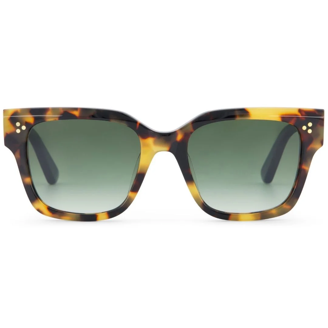 Toms Sunglasses MADISON