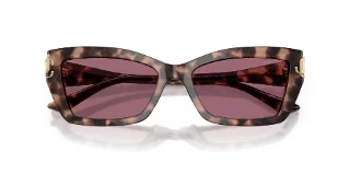 Jimmy Choo Sunglasses JC5011U