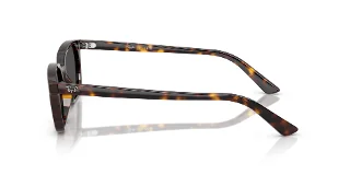 Ray Ban Sunglasses RB4456F