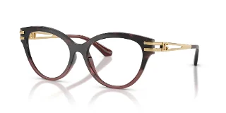 3493 Burgundy Havana Gradient