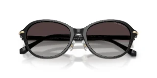 Michael Kors Sunglasses MK2289D