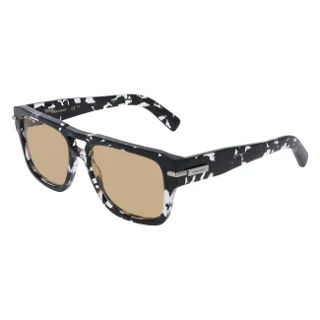 010 Black Tortoise