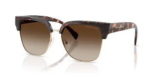 300613 Dark Tortoise