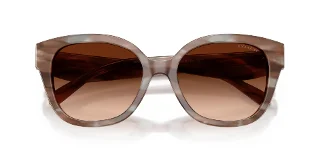 Coach Sunglasses HC8438U