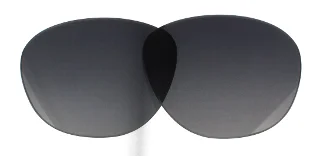 Dolce & Gabbana Replacement Lenses DG4250