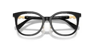 Swarovski Eyeglasses SK2055F