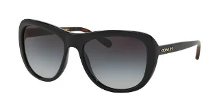 544211 Black/ Black Tortoise