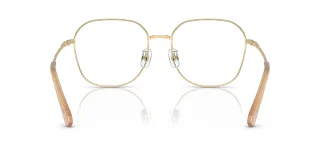 Swarovski Eyeglasses SK1009D