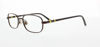 Polo Eyeglasses PP8031