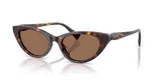 500373 Shiny Dark Havana