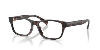 5003 Shiny Dark Havana