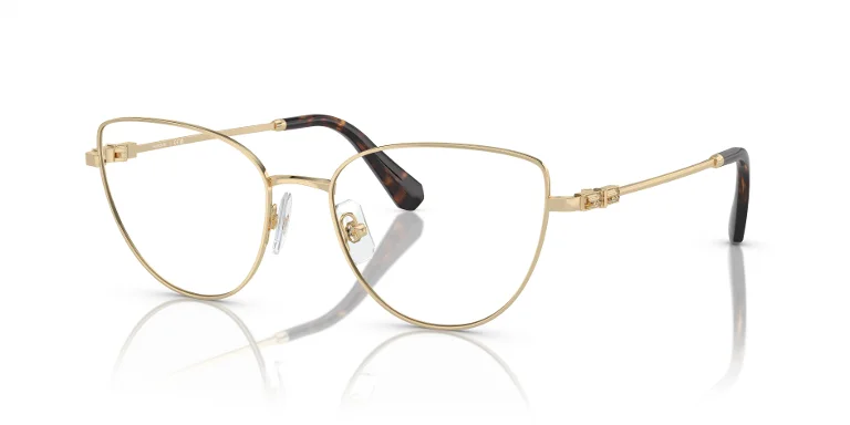 Swarovski Eyeglasses SK1007
