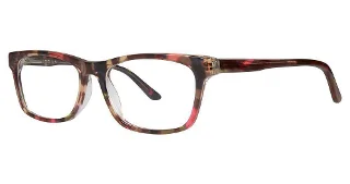 Rose Tortoise