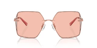 Michael Kors Sunglasses MK1157D
