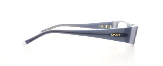 Dkny Eyeglasses DY4599