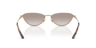 Ralph Lauren Sunglasses RL7095