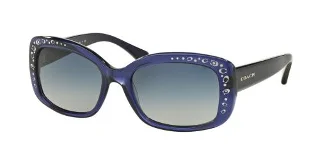 Coach Sunglasses HC8161 L146